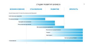 Льготные кредиты на развитие бизнеса: возможности и условия получения в России